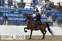 10r14_2010 proof