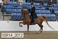 10r14_2012 proof