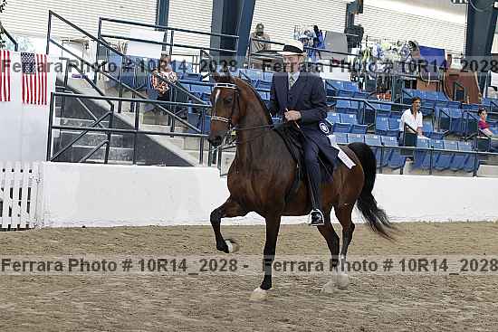 Proof 10r14_2028