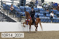 10r14_2031 proof