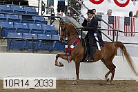 10r14_2033 proof