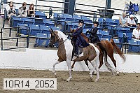 10r14_2052 proof