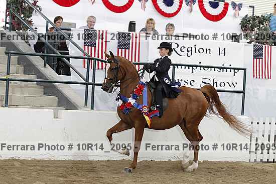 Proof 10r14_2095