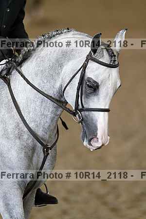 Proof 10r14_2118