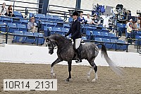 10r14_2131 proof