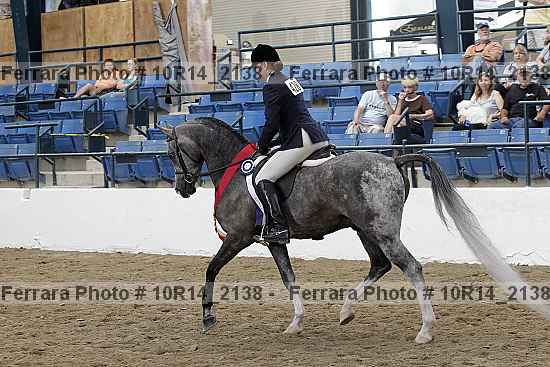 Proof 10r14_2138
