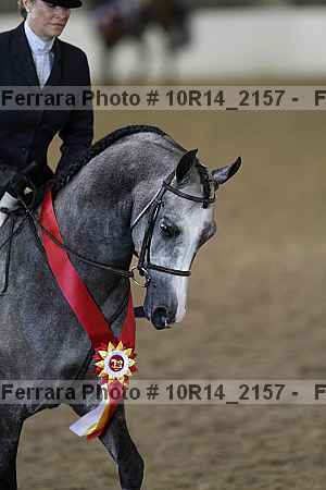 Proof 10r14_2157