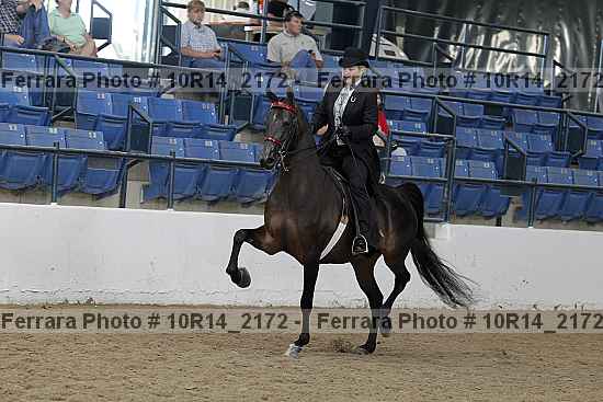 Proof 10r14_2172