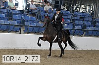 10r14_2172 proof