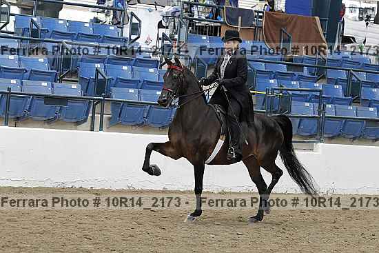 Proof 10r14_2173