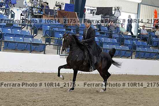 Proof 10r14_2175
