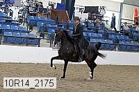10r14_2175 proof