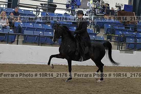 Proof 10r14_2176