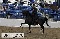 10r14_2176 proof
