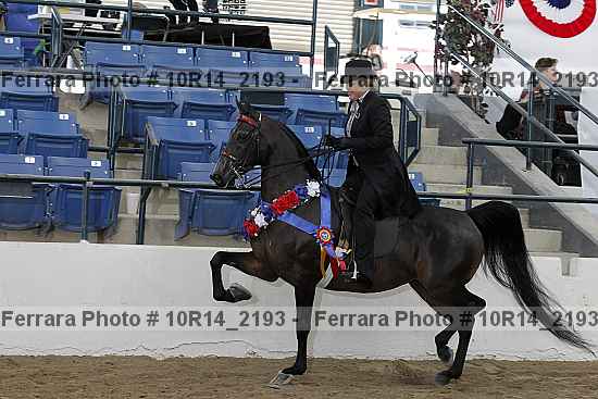 Proof 10r14_2193