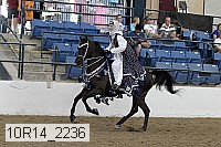 10r14_2236 proof