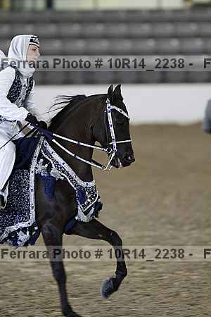 Proof 10r14_2238