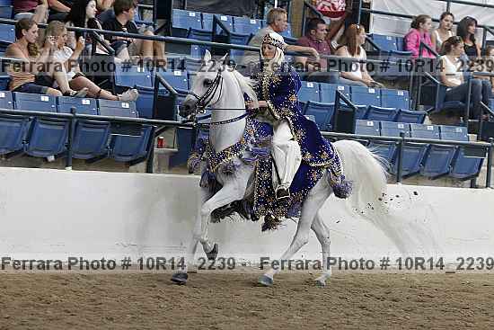 Proof 10r14_2239