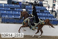 10r14_2313 proof