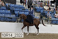 10r14_2322 proof