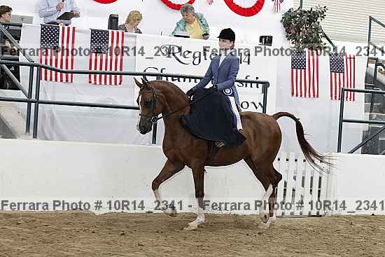Proof 10r14_2341