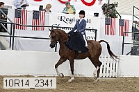 10r14_2341 proof