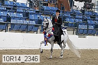 10r14_2346 proof