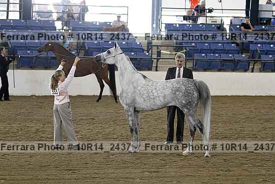 Proof 10r14_2437