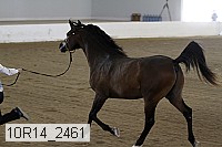 10r14_2461 proof