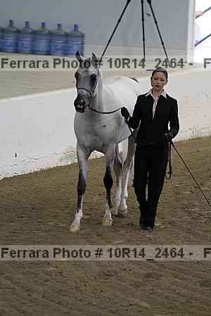 Proof 10r14_2464