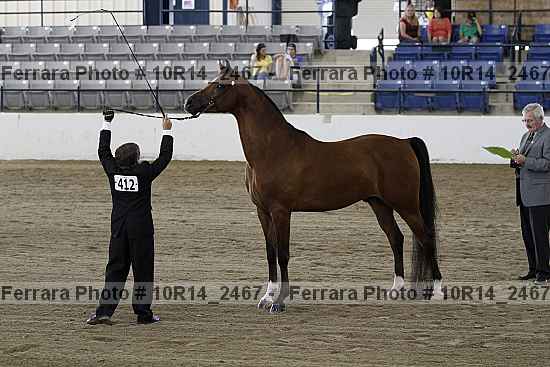 Proof 10r14_2467