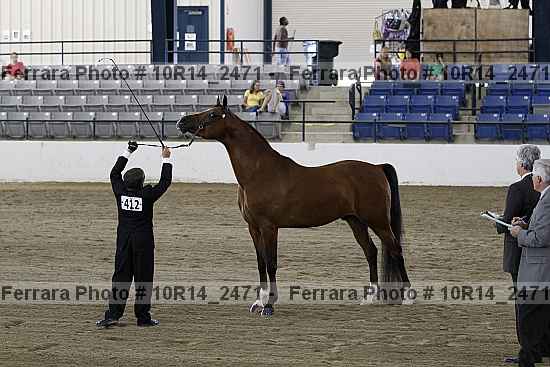 Proof 10r14_2471