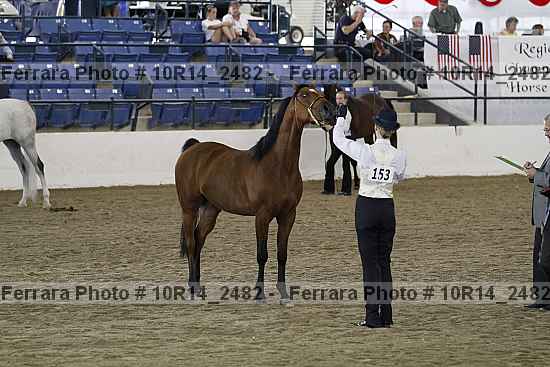 Proof 10r14_2482