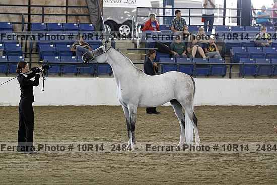 Proof 10r14_2484