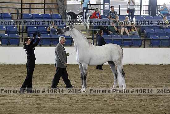 Proof 10r14_2485