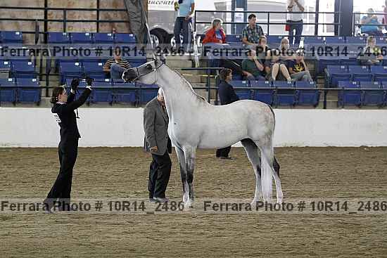 Proof 10r14_2486