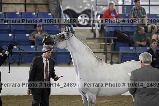 Proof 10r14_2489