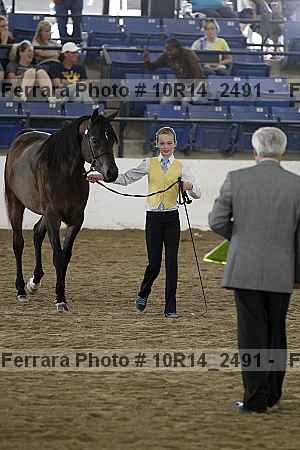 Proof 10r14_2491