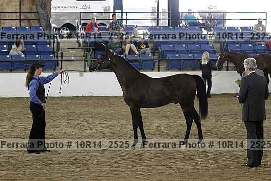 Proof 10r14_2525