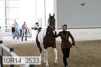 10r14_2533 proof