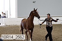 10r14_2562 proof