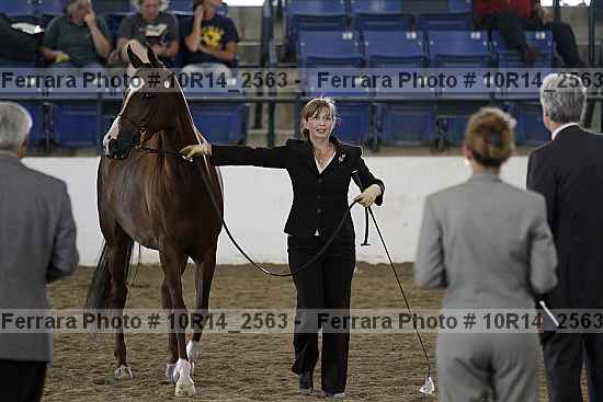 Proof 10r14_2563