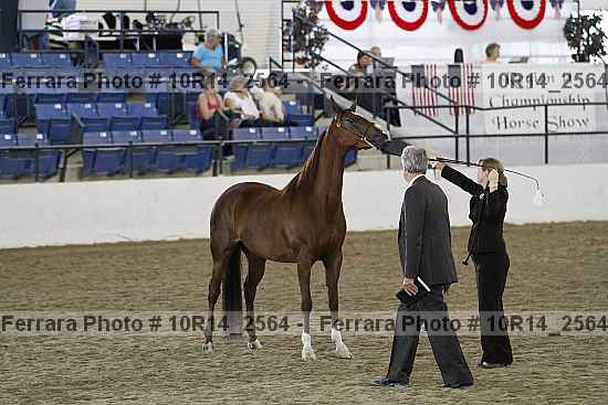 Proof 10r14_2564