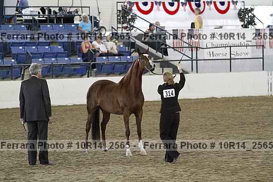 Proof 10r14_2565
