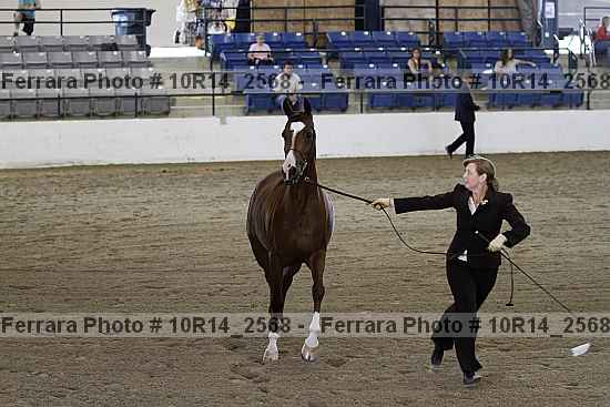 Proof 10r14_2568