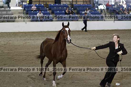 Proof 10r14_2569