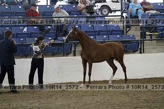 Proof 10r14_2572