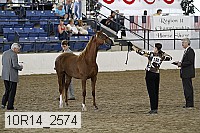 10r14_2574 proof