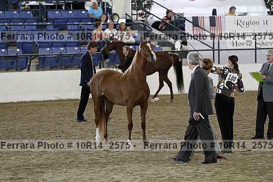 Proof 10r14_2575