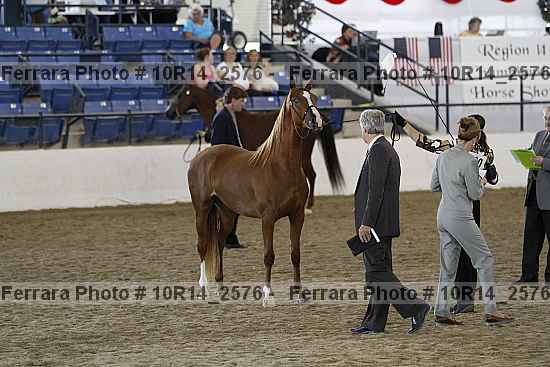 Proof 10r14_2576